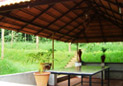 The Spectrum homestay in chikmagalur